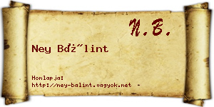 Ney Bálint névjegykártya